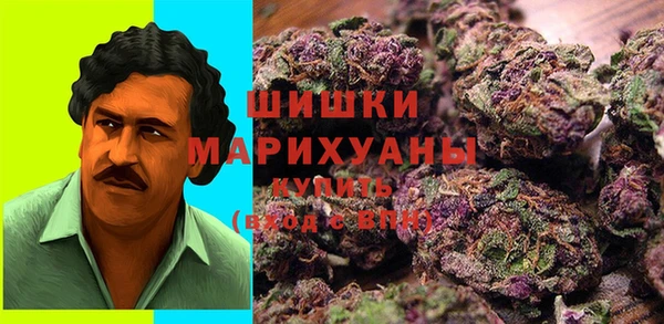 тгк Дмитровск