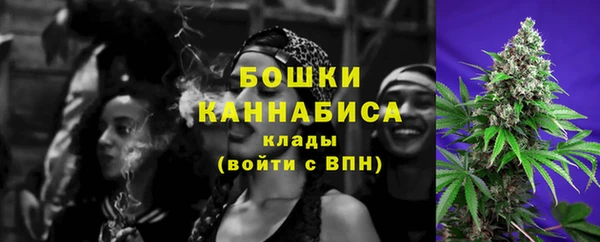 тгк Гусев