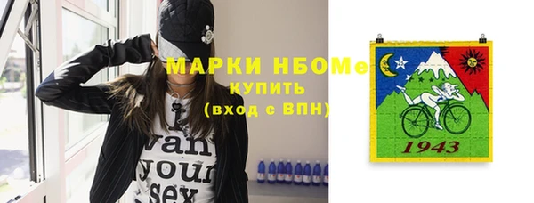 хмурый Дмитров