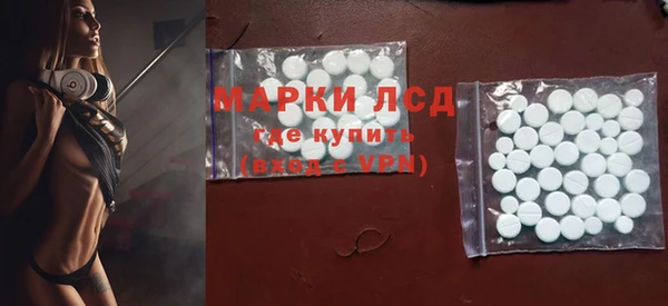 тгк Гусев