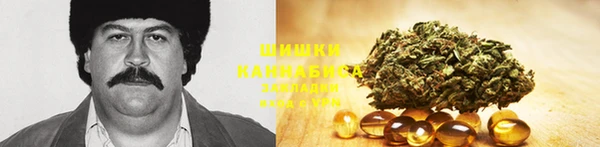 тгк Гусев