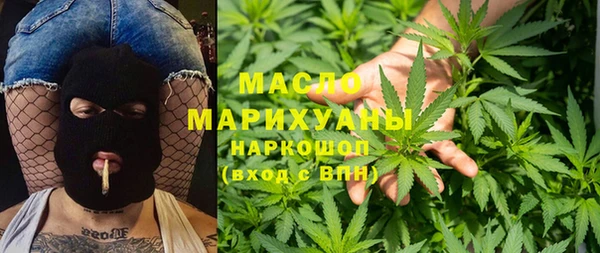 тгк Гусев