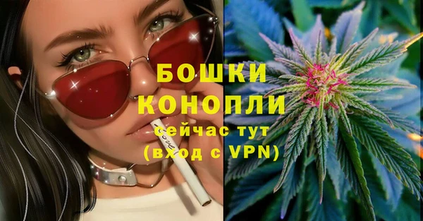 гидра Дмитриев