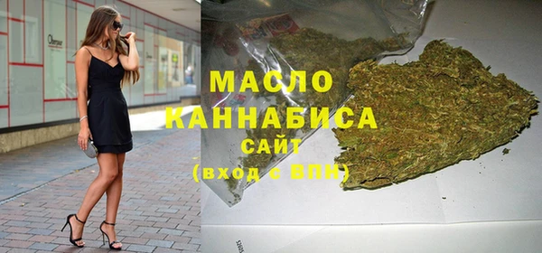 тгк Гусев