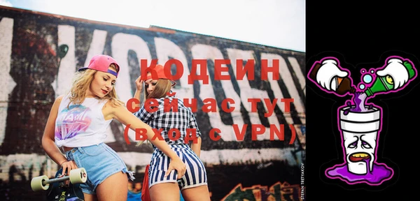 тгк Гусев