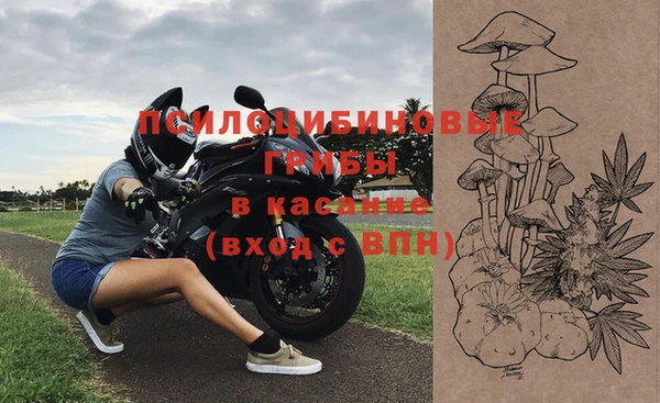 тгк Гусев