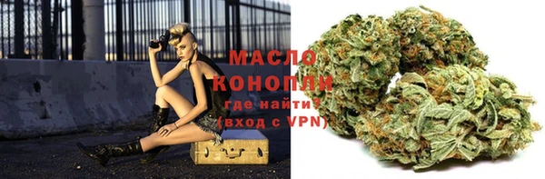хмурый Дмитров
