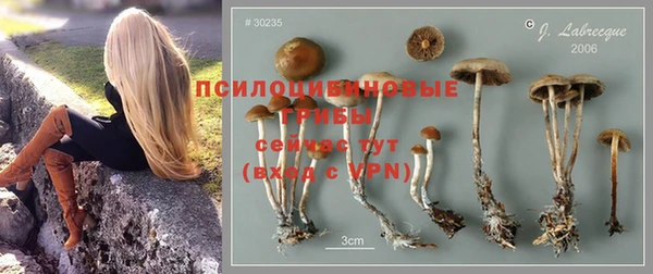 тгк Дмитровск