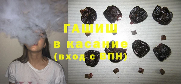 тгк Гусев