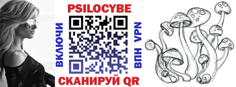 Галлюциногенные грибы Cubensis Карасук