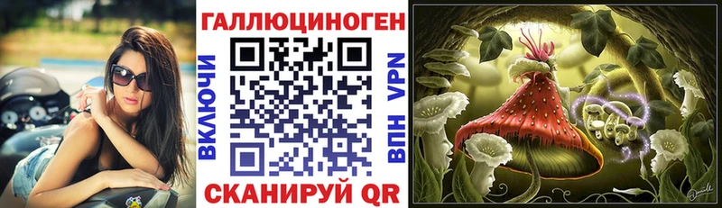 omg   Карасук  Псилоцибиновые грибы прущие грибы  что такое наркотик 